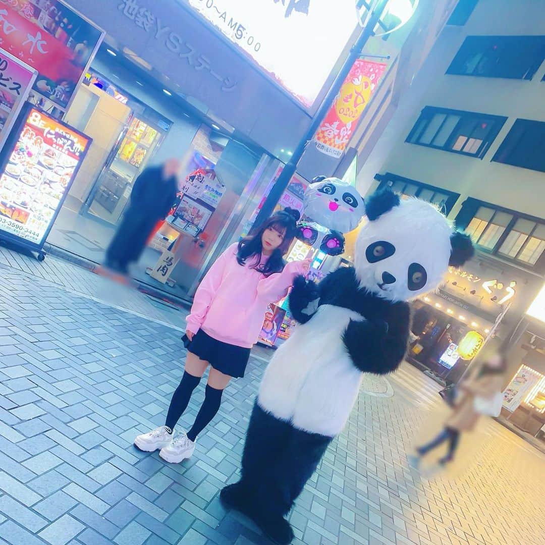 羽咲みはるさんのインスタグラム写真 - (羽咲みはるInstagram)「#KAIYOU  さんの撮影で パンダに遭遇したの🐼🐼🐼 あれ、これってまさかパンダさんグリ📷？？？？😂笑」1月17日 1時58分 - miharu_usa