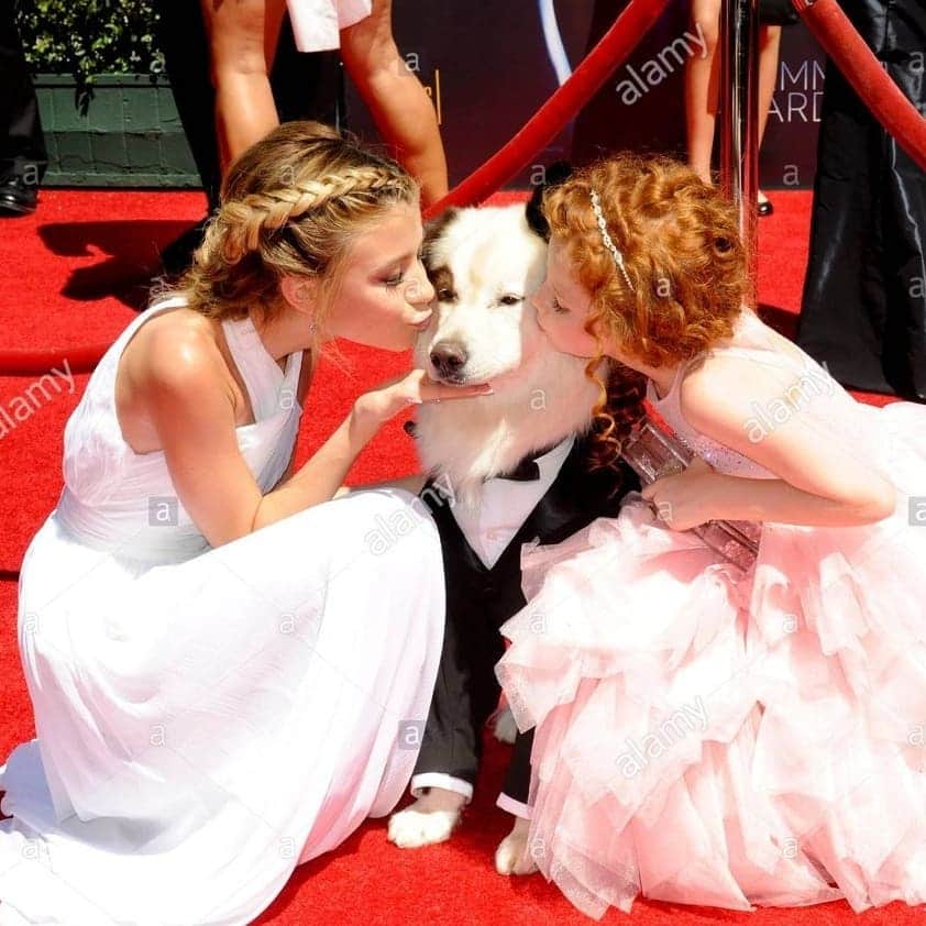フランチェスカ・カパルディさんのインスタグラム写真 - (フランチェスカ・カパルディInstagram)「Kiss A Ginger Day! Comment 💙 if you've kissed a ginger or 💜 if you want to kiss a ginger or ❤ if you want a kiss from a ginger or 🖤 if you're a ginger and want a kiss! 😍😘」1月17日 2時17分 - francescacapaldi