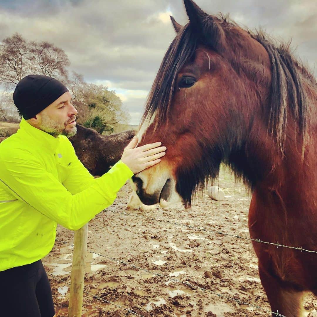 ポール・ブラックソーンさんのインスタグラム写真 - (ポール・ブラックソーンInstagram)「A great ride on the South Downs; met a beautiful horse and a lovely winter sunset. Good times!」1月17日 3時05分 - paulblackthorne