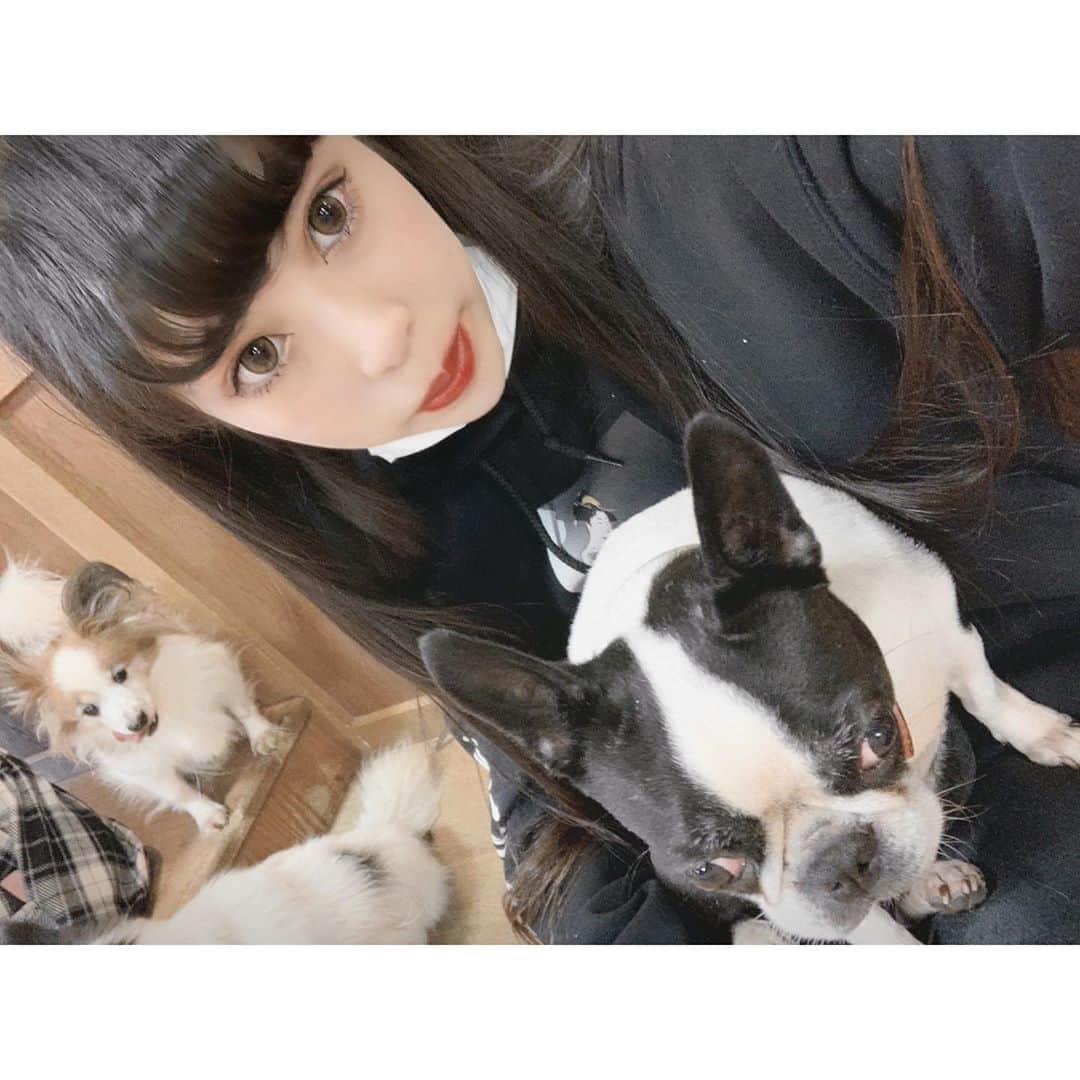 中川ジュリアのインスタグラム：「サファリパーク、頑張って引いた大吉、さわやか🥩、アウトレット　濃い正月休み楽しかったな〜　#静岡」