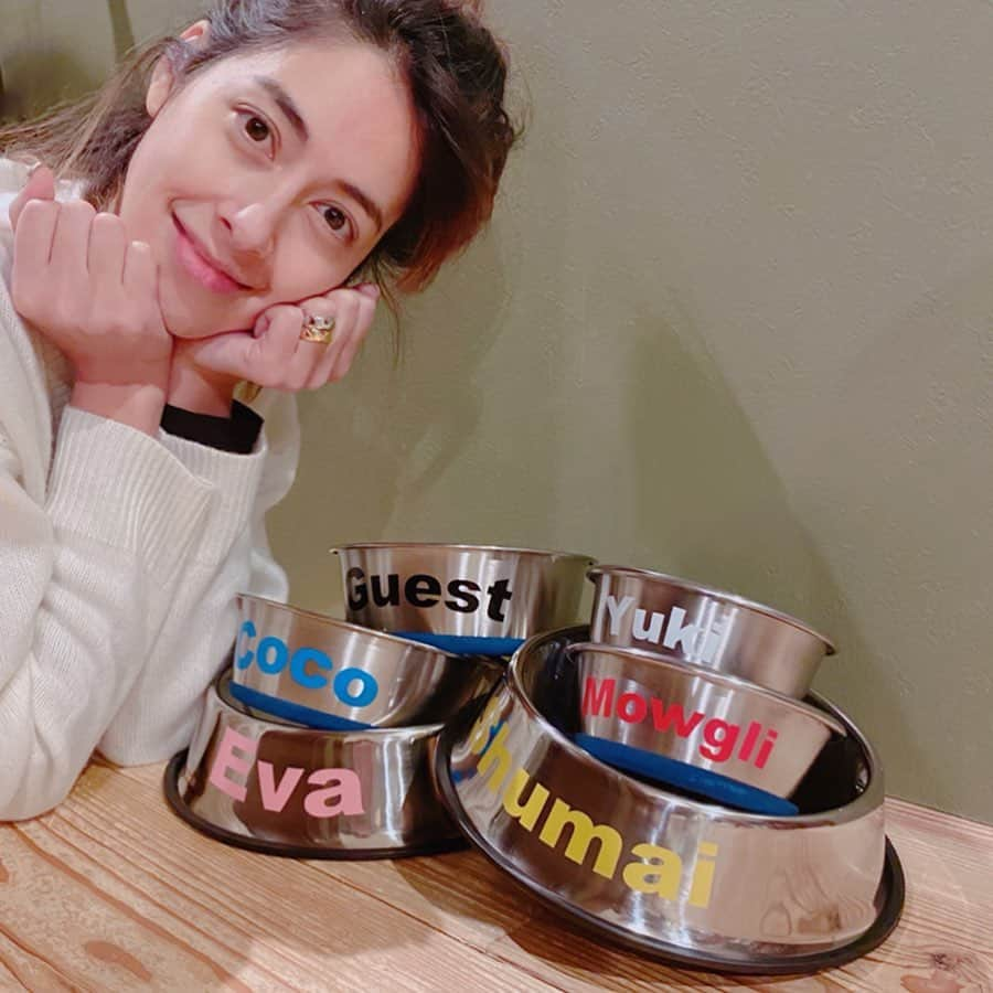 森泉さんのインスタグラム写真 - (森泉Instagram)「New food dishes for my babies💓 みんなの名前入り😍 これで迷わずにパッてあげられる💜」1月16日 18時27分 - izumi.mori