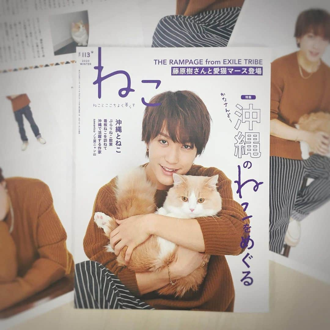 ねこさんのインスタグラム写真 - (ねこInstagram)「先日発売した、「ねこ 113号」📚❤️getしてくださった方々、もう読んで頂けたでしょうか？😆✨ 今号は、表紙を飾ってくださった #藤原樹 さんと愛猫マースのほっこり幸せ溢れるインタビューから始まり❤️(ラブラブショット満載です❣️)、沖縄で出会った魅力的なねこたちを大特集✨、そして、インスタ企画「Cat of the year 2019」で見事当選された皆さまの愛猫ちゃんたちが、ドドン❣️と掲載されております🌟 沢山のコメントや、ダイレクトメッセージ、本当にありがとうございます😊❤️多くの方々に喜んで頂けているようで、と〜〜〜っても嬉しいデス🔆 お一人お一人にお返事したい気持ちでいっぱいなのですが、なかなか追いつかず、すみません‼️ですが、ひとつひとつ全部読ませて頂いておりますので🧡ふふっ😚 これからも応援よろしくお願いしマース😍❣️ #neko_magazine #NEKONOBA #ねこマガジン #ネコノバ #ねこ #猫 #cat #catstagram #catsofinstagram #藤原樹 #いっちゃん #マース #ランページ #therampage #ランペファンと繋がりたい #ldh #ねこ113号 #雑誌ねこ」1月16日 19時04分 - neko_magazine