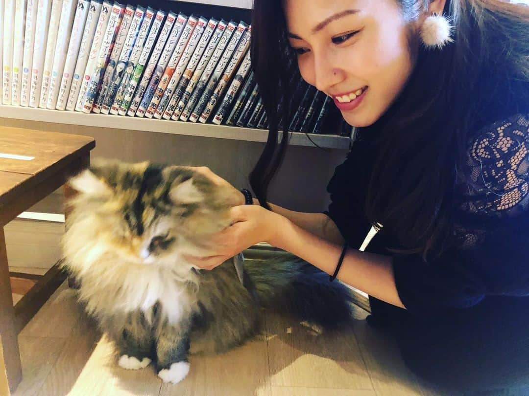 立石晴香さんのインスタグラム写真 - (立石晴香Instagram)「先日の猫カフェ🐈💓」1月16日 19時34分 - haruka_tateishi