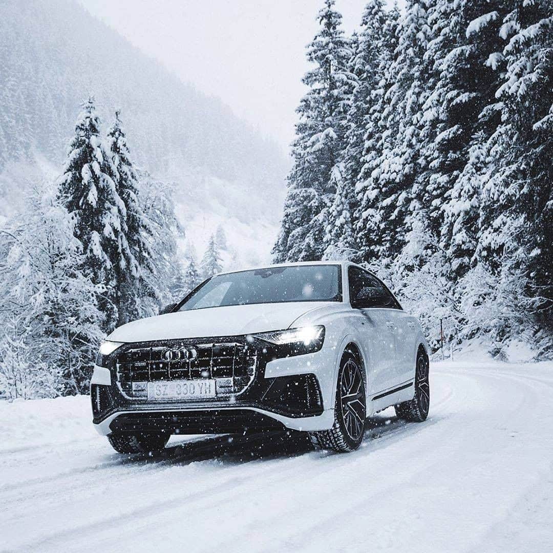 アウディ ジャパンさんのインスタグラム写真 - (アウディ ジャパンInstagram)「来る勝負の日。自らの力をすべて発揮する。 それこそが、勝利の栄光へと繋がっている。  雪道、坂道。どんなシーンでも最高のパフォーマンスを発揮するテクノロジー。 Audi独自の4WDシステム quattro®の走りが、あなたを奮い立たせる。  #センター試験 #滑らない  #Audi #Q8 #AudiQ8 #アウディQ8 #Audijapan #AudiSport #アウディ #carwithoutlimits #carsofinstagram #Audiworld #Audigenic #SportCar #スポーツカー #モータースポーツ #車好きな人と繋がりたい #quattro #クワトロ」1月16日 19時55分 - audijapan
