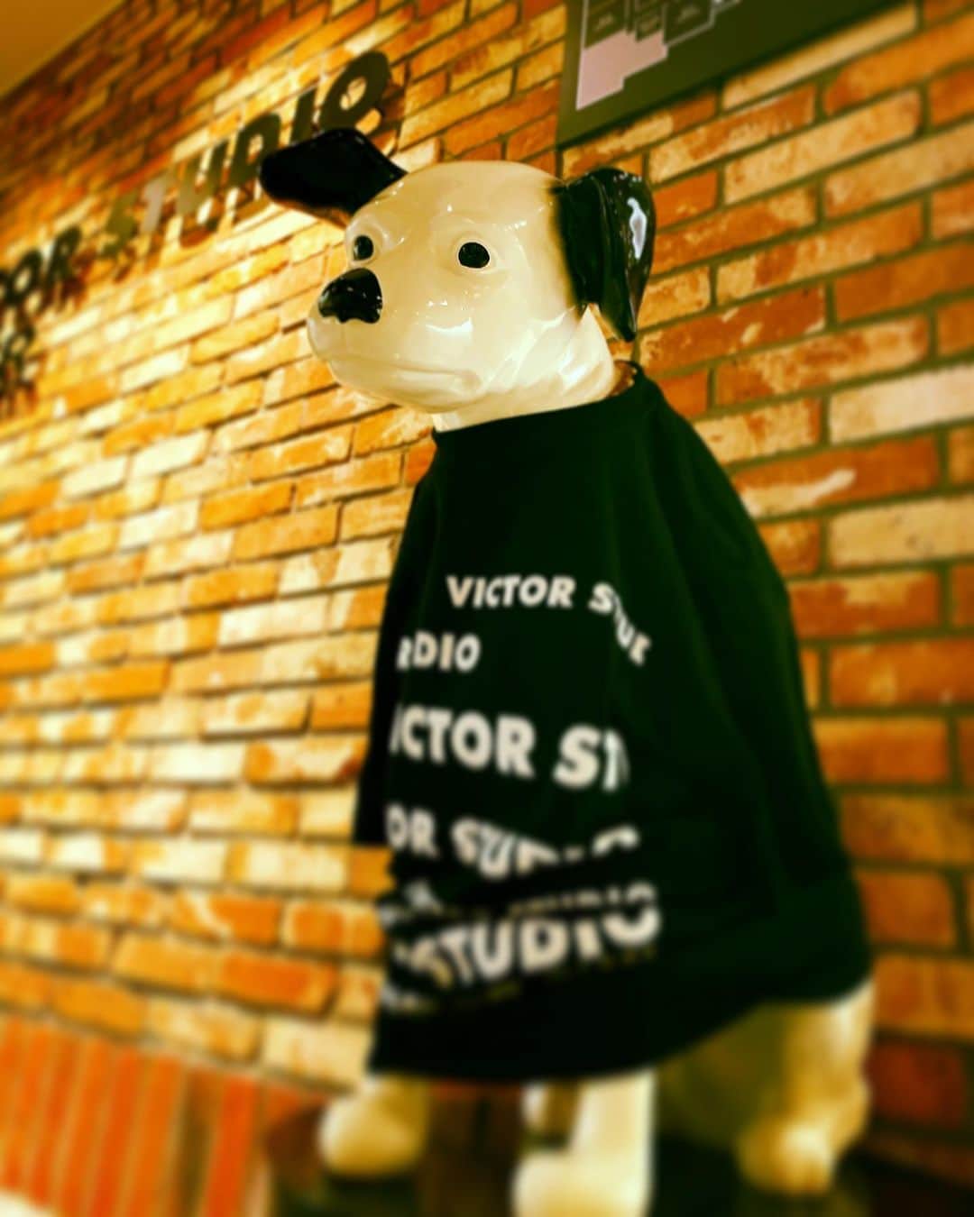 tetsuyaのインスタグラム：「#TETSUYA #thankyou4950 #Amphitheater」