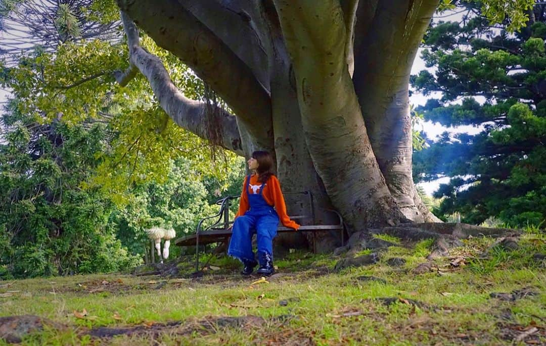 LINA（吉村リナ）さんのインスタグラム写真 - (LINA（吉村リナ）Instagram)「土に溶け込みたい🍁 ⠀⠀ と、自然に囲まれるたびに必ず想う。 ⠀⠀ 木の感覚になって、 葉っぱの色に変わって、 枝の目線になって、 花の香りに包まれて、 土の温度に溶け込んで... ⠀⠀ 想像してみて🕊⠀⠀ We are part of the nature 🍃」1月16日 20時05分 - lina3336