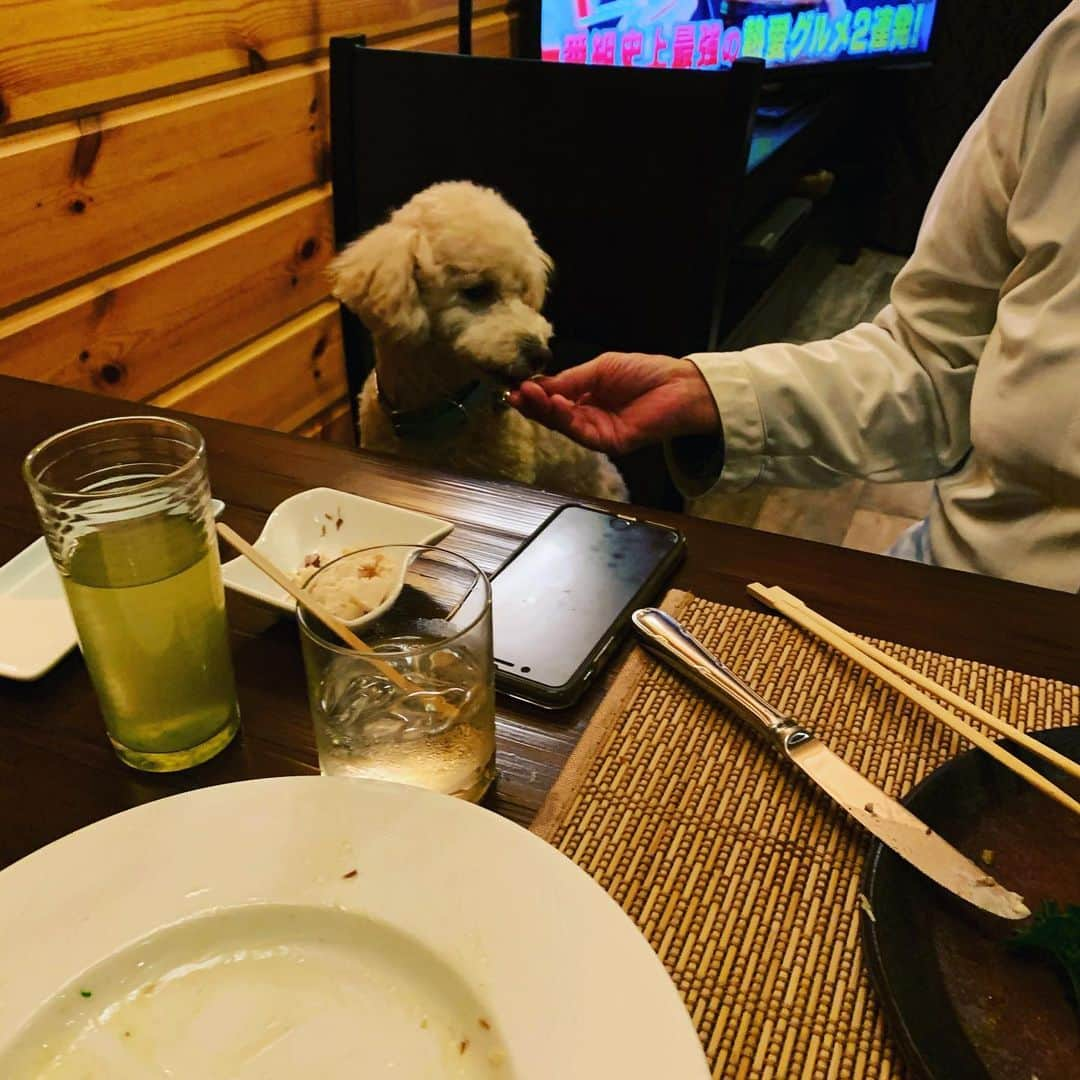 金村義明さんのインスタグラム写真 - (金村義明Instagram)「#フレンチ懐石#部屋食#順番に持ってきてくれる#３１５０#リピート間違い無し#鮑別注文#鴨ローストからヘレステーキに変更#超劇うまままままままままし」1月16日 20時21分 - yoshiaki_kanemura