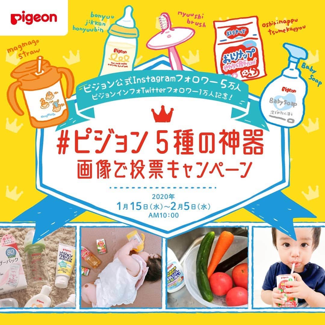 ピジョンのインスタグラム