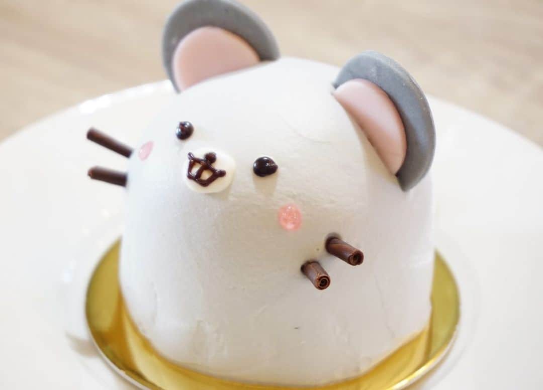 櫻本茉朋さんのインスタグラム (櫻本茉朋mahou_sakuramoto)