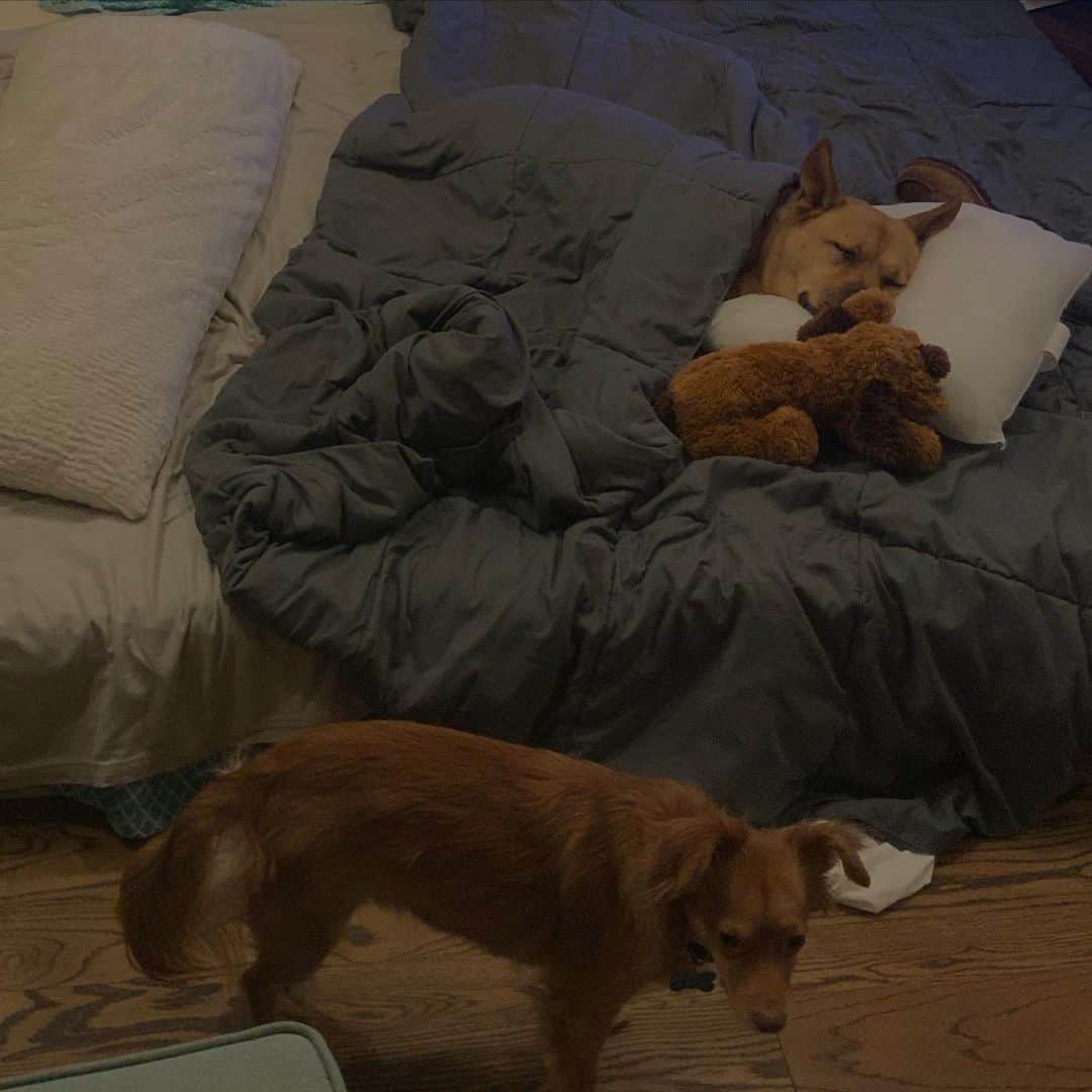 タイラー・ポジーのインスタグラム：「The stuffed animal was a prop for the picture. The boot under the pillow is her real toy」