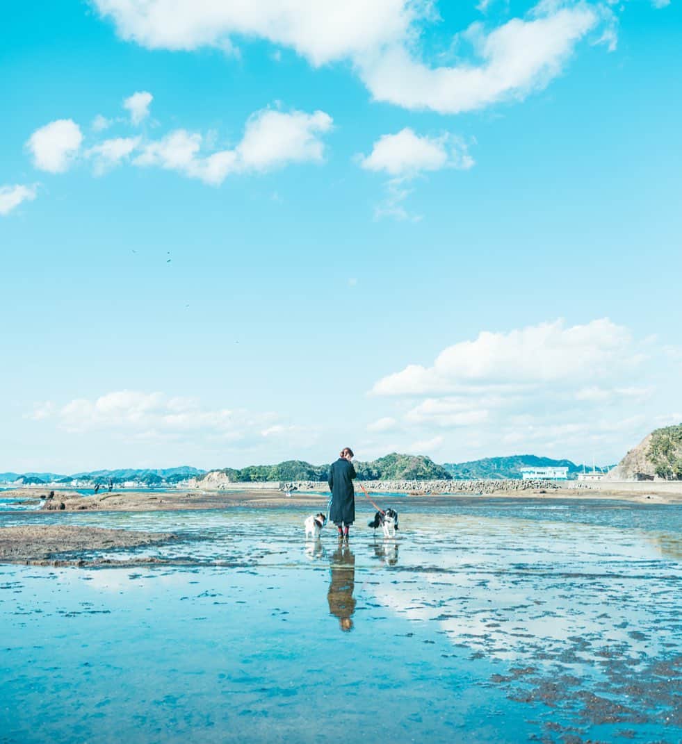 Kobe Japan Water artのインスタグラム：「"Huge puddle" 大きな水たまり発見🐶🐶 #この後の足拭きが大変💦」