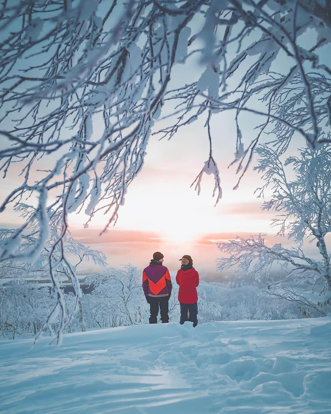 wacameraのインスタグラム：「Snow frame 時々もう2度とこんな色は見ることができないのではないかと思うことがある。 写真を始めて13年、光を見るようになった。日々の道端に何気なく落ちる影も、まるでその生を照らすかのような光も、美しいと感じられる心を持てるようになった。 留寿都で見た朝日は、2020年の幕開けにふさわしい素晴らしく幻想的な光だった。私の目から溢れてくるのは、寒いからではなく感動による涙だった。  だんだんと自分の体力にも自信がなくなってきて、いつか行きたいと思う場所が増える一方で、億劫になることがある。でも、こんな時だからこそ、私は行きたい場所に行こうと思う。 そしてまたこの言葉を失うほどの美しい景色に逢いに留寿都にもいくだろう。 . . @westinrusutsu  @rusutsuresort_official」