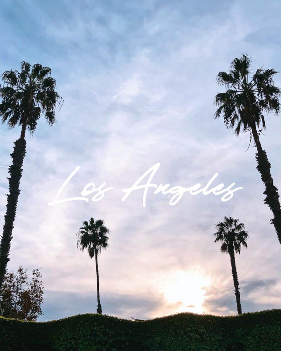 植田せりなさんのインスタグラム写真 - (植田せりなInstagram)「ㅤㅤㅤㅤㅤㅤㅤㅤㅤㅤㅤㅤㅤ ✔︎Los Angeles  昨年末にLAに行った時の想い出をup出来てなかったので今更だけどお付き合い下さい🤣✨ ㅤㅤㅤㅤㅤㅤㅤㅤㅤㅤㅤㅤㅤ ㅤㅤㅤㅤㅤㅤㅤㅤㅤㅤㅤㅤㅤ 泊まっていたHotelから見えた夕日が凄く綺麗だった🌇 ㅤㅤㅤㅤㅤㅤㅤㅤㅤㅤㅤㅤㅤ ㅤㅤㅤㅤㅤㅤㅤㅤㅤㅤㅤㅤㅤ  #LosAngeles #SantaMonica #ロサンゼルス #サンタモニカ  #サンタモニカビーチ」1月16日 22時21分 - serina_ueda