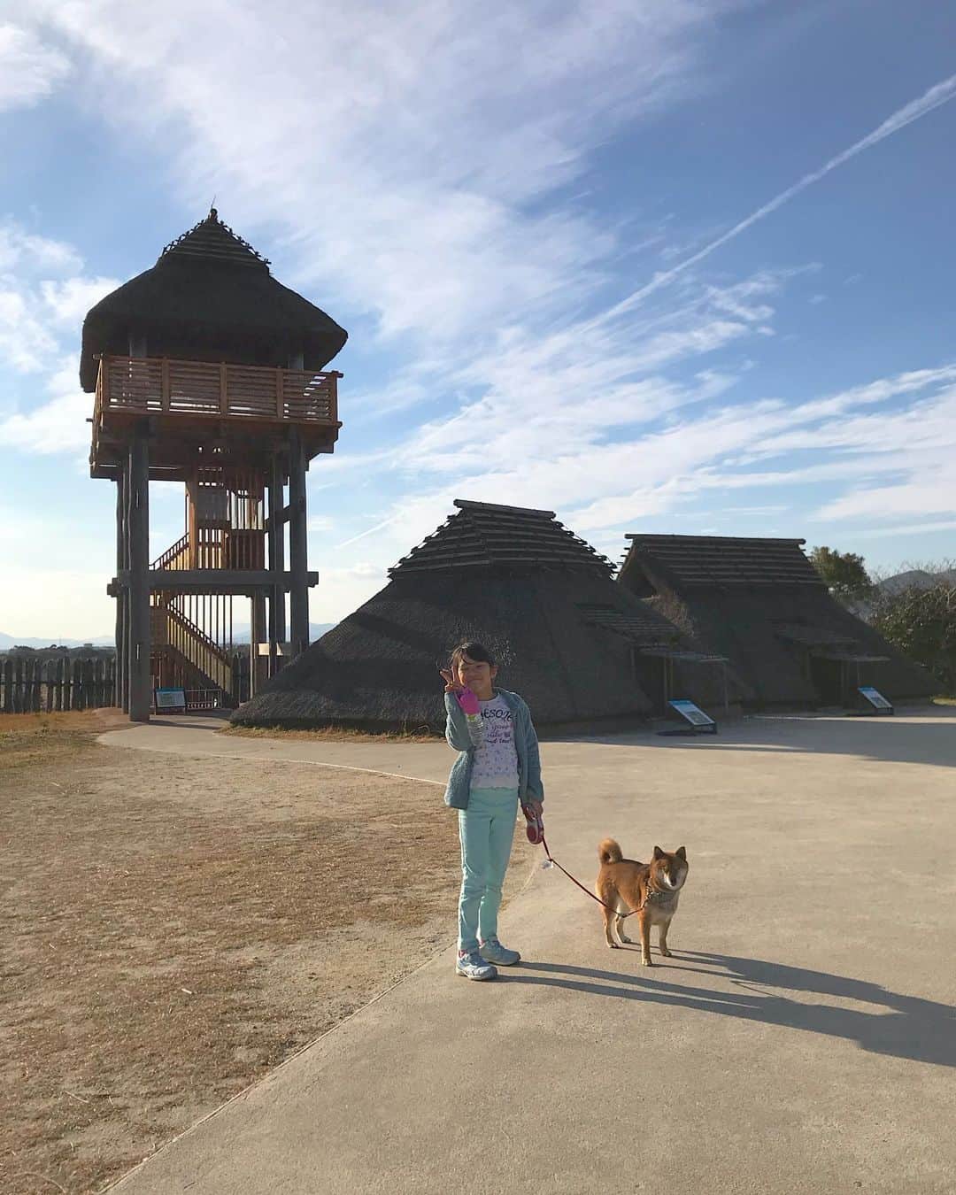 柴犬はなこ Shibainu Hanakoのグルメインスタ