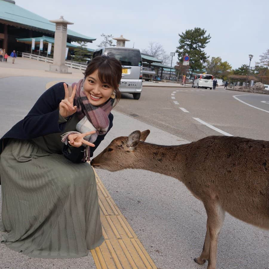 遠野愛のインスタグラム：「初めての広島🦌 宮島に行ったらたくさん鹿がいた！ 牡蠣苦手なのにカキフライ美味しかった😃  #広島　#卒業旅行　#宮島　#鹿　#カキフライ　#牡蠣　#アナゴ　#お好み焼き　#広島風お好み焼き」