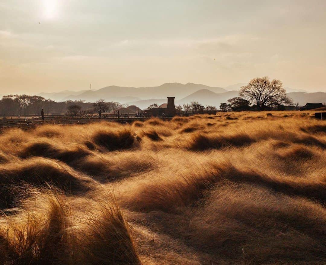 のインスタグラム：「@supermoul captured the Cheomseongdae in Gyeongju South Korea, which is an astronomical observatory built in the 7th century. Shot on our #LeicaM240  #🔴📷 #leica #leicacamera #leicaphotography #leicagram #leica_world #leica_club #leicasociety #letsgosomewhere #exploretocreate」