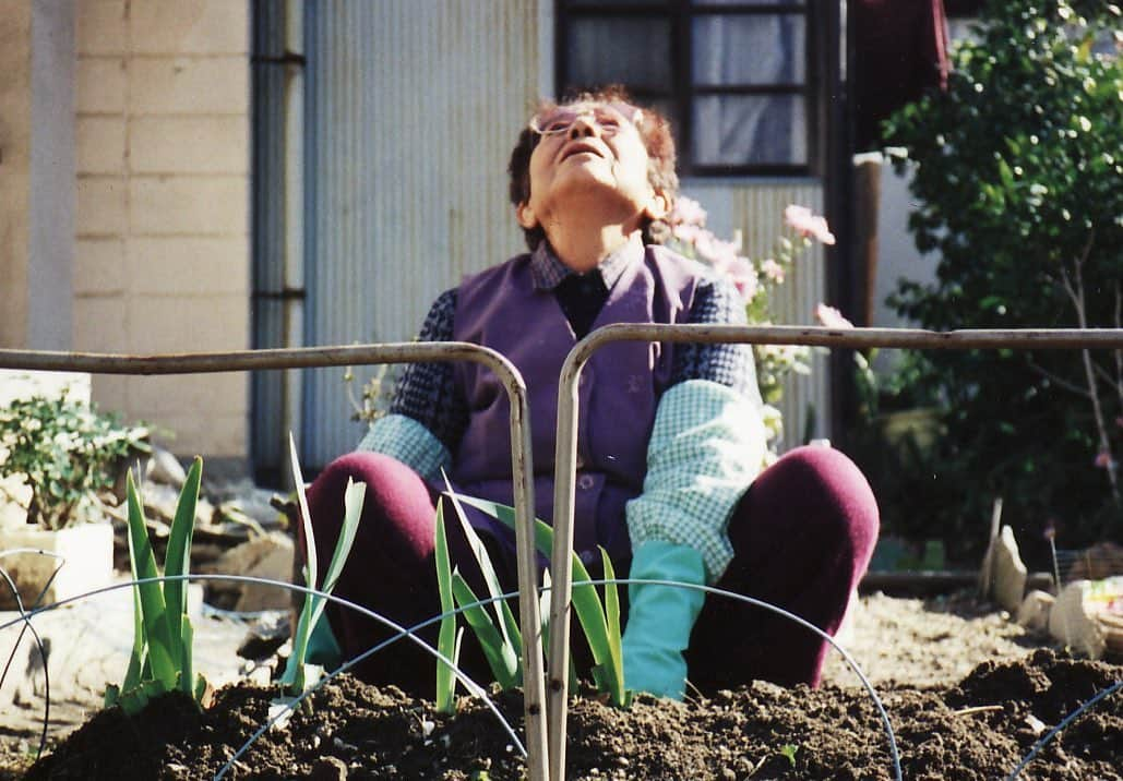 河瀬直美さんのインスタグラム写真 - (河瀬直美Instagram)「国立映画アーカイブ、河瀬直美特集⁣ 本日(1月17日(金) )の上映その２ ⁣ 6:30 PM〜 ⁣ ⁣ ドキュメンタリー３作品が上映されます。⁣ 大きなスクリーンで上映されることはほとんどない貴重な機会です。⁣ ぜひごらんください✨⁣ ⁣ ①『天、見たけ』⁣ 1995（監・撮）河瀨直美⁣ 『かたつもり』からの連作というべき短篇。モノクロームやストップモーションを駆使した実験映画的な色合いの濃い作品となっている⁣ ⁣ ②『陽は傾ぶき』⁣ 1996（監・撮）河瀨直美⁣ 『かたつもり』『天、見たけ』につづく「おばあちゃん」3部作の一篇。キャメラの視線に親密さが増している。⁣ ⁣ ③『杣人物語』⁣ 1997（監・撮）河瀨直美⁣ 史上最年少でカンヌ映画祭カメラドールを受賞した『萌の朱雀』。そのロケ地である奈良県西吉野村を河瀨自ら撮影したドキュメンタリー。⁣ 「生きる力をもらった。映画を完成させた後、そう実感した。輝く太陽の恵みや湧き上がる山水に感謝して生きる姿には、力強い生命力が燃えたぎっている。私も杣人たちのように豊かなシワを刻んで土に還りたい」⁣ 山での暮らし、仕事、忘れられない思い出、人生…心を開き、衒いのないことばで日常を語る杣人たちを、慈しむように映し出す。⁣ 河瀨直美がどうしても撮りたかった、もうひとつの『萌の朱雀』⁣ ⁣ 国立映画アーカイブ@長瀬記念ホール ＯＺＵ⁣ 〒104-0031 東京都中央区京橋 3-7-6 ⁣ 03-5777-8600⁣  The Naomi Kawase retrospective at the National Film  Archive of Japan. The screening of today, the documentary films, “See the Heaven”, “Sun on the Horizon” and “The Weald”. It will start at 6:30pm.  At the Nagase Memorial Theatre OZU (2nd floor)  3-7-6 Kyobashi, Chuo-ku, Tokyo 104-0031  https://www.nfaj.go.jp/exhibition/naomikawase201911/⁣ ⁣ #国立映画アーカイブ⁣ #本日の上映 ⁣ #天、見たけ⁣ #陽は傾ぶき⁣ #杣人物語⁣ #萌の朱雀⁣ #奈良⁣ #河瀬直美 ⁣ #ドキュメンタリー映画⁣ #naomikawaseretrospective」1月17日 11時05分 - naomi.kawase