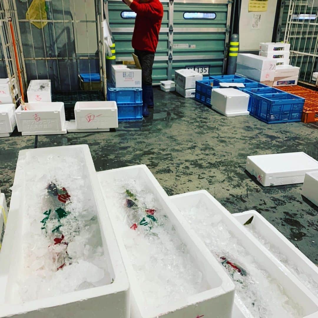 魚金さんのインスタグラム写真 - (魚金Instagram)「1月17日金曜日！ 本日の一押しは勝浦の地金目洋食のお店で豪快なアクアパッツァやブイヤベースで是非2480円破格です  千葉の大羽鰯もこの時期なのにコロッとしてる！水温温かいからなのかなー 長崎の真鯵も鮮度バッチリ！目がキラキラしてますね  僕たちが仲買さんから買い物すると茶屋と言われる場所に運ばれます。茶屋とは買荷保管場所の事で日本橋の魚市場の当時は神田川や隅田川などの水運が主で、潮の満ち引干潮になれば、川や運河の喫水は浅くなり、荷物を満載した船の往来は困難になる。満潮になるまで待ち、荷を運び出すしかない。こうして、潮が満ちるのを待つために作られたのが潮を待つ茶屋の由来からの名残りみたいです。 ここで大量に運ばれてきた荷物を丁寧に53店舗事故ない様に振り分けるのが僕たちの任務です！ 名残りと言えば和食の24店舗の刺し盛りは六点盛りと三点盛りがありますが15年程昔は本当に六点、三点の刺し盛りだったのですがメニューはそのままで六点盛りには12種、三点盛りには7種の盛り合わせに進化してきました！次なる進化は12店舗で魚のグレードを上げた刺し盛りを提供しています！写真の刺し盛りが4名様向けのスペシャルの盛り合わせです  週末の飲み会やお食事などのご予定は是非魚金をご利用し下さい！ スタッフ一同笑顔で元気よくお待ちしています。  仕入部　片之坂 #魚金 #新橋#新橋居酒屋#居酒屋#銀座#京橋#神田#まぐろ#刺身盛り合わせ#吉祥寺#ビール#池袋#市場#しらこ#マルタ島#唐揚げ#ブリ#渋谷#クラフトビール#レモンサワー#豊洲市場#牡蠣#ぶりしゃぶ#ワイン#神田#中落ち#横浜#food#foodie」1月17日 11時18分 - uokin_koho