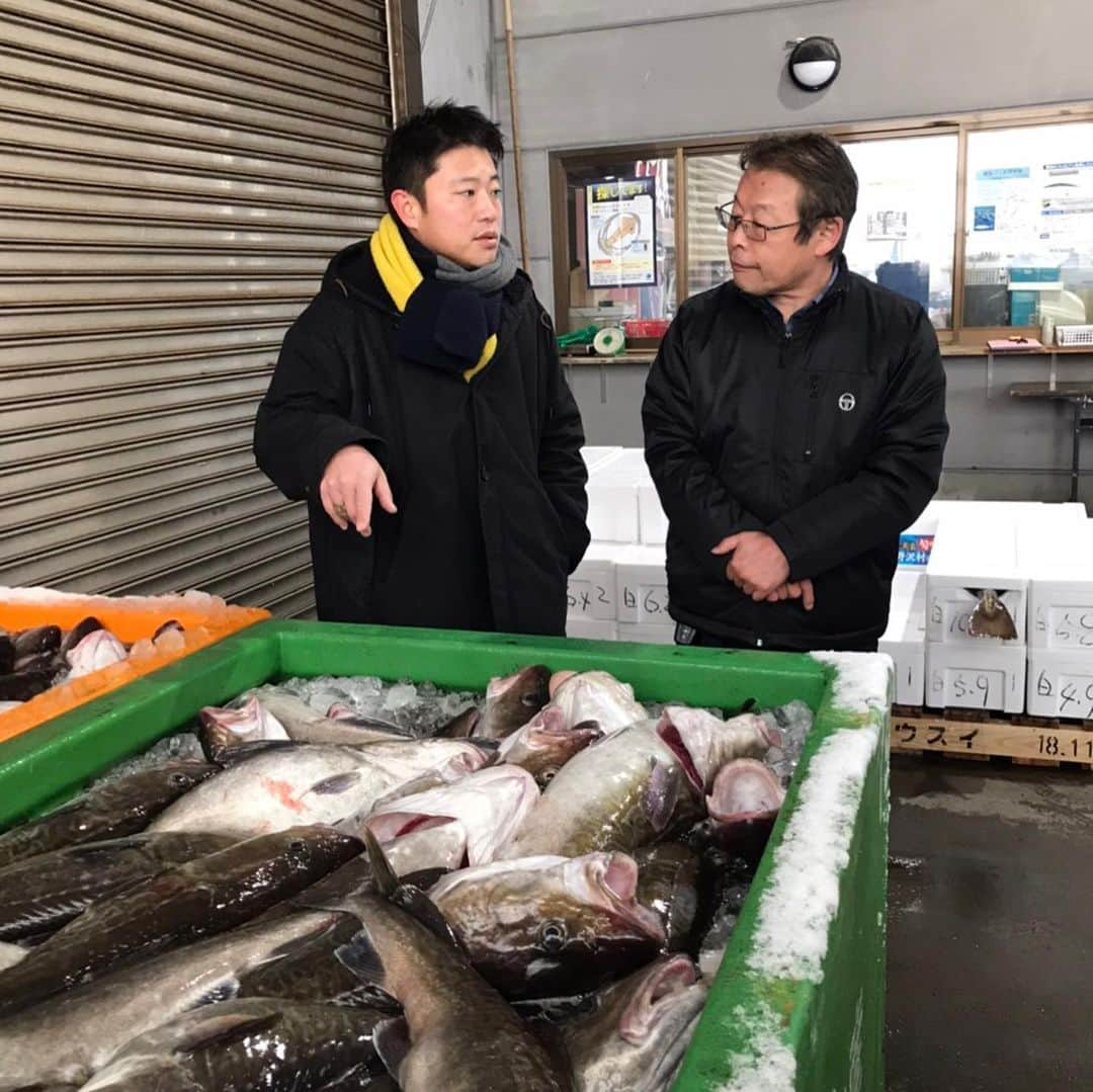 栗原心平さんのインスタグラム写真 - (栗原心平Instagram)「続いては脇野沢で鱈漁見学。見学だけ！食べないの？！ねえねえ食べないの？はい食べれませんでしたw 今年は豊漁の様です！1000トン超えたのは35年ぶりとか…東京ではあまり食べませんが真子は醤油付けにしたり炒め物にも使います。去年いただきましたが白子もめっちゃ大きくて白子だけで口の中がシチューみたいなww #栗原心平 #shimpeikurihara #青森 #青森県 #脇野沢 #鱈 #鱈漁 #白子 #下北半島魅力発信」1月17日 11時23分 - shimpei_kurihara