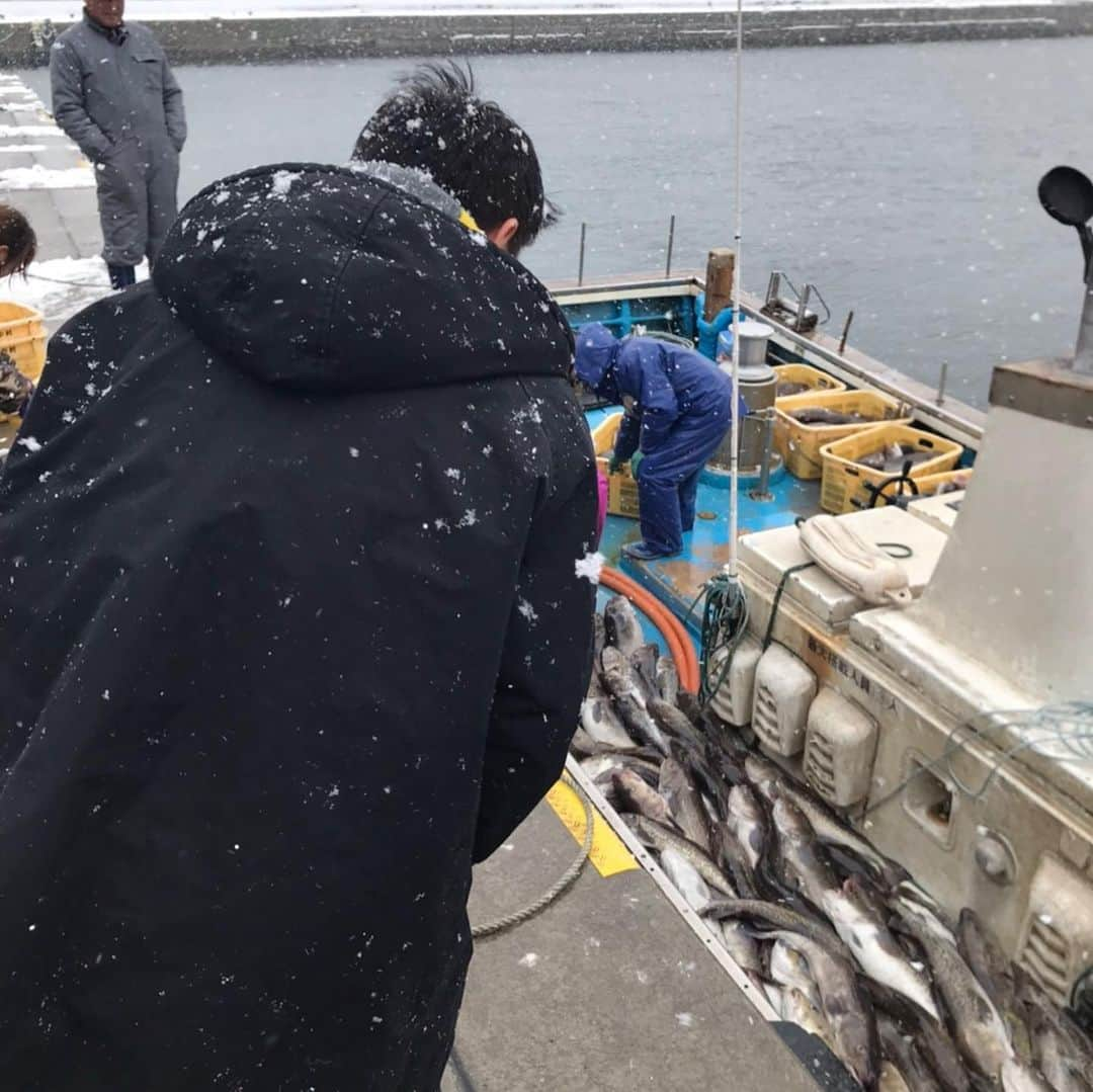 栗原心平さんのインスタグラム写真 - (栗原心平Instagram)「続いては脇野沢で鱈漁見学。見学だけ！食べないの？！ねえねえ食べないの？はい食べれませんでしたw 今年は豊漁の様です！1000トン超えたのは35年ぶりとか…東京ではあまり食べませんが真子は醤油付けにしたり炒め物にも使います。去年いただきましたが白子もめっちゃ大きくて白子だけで口の中がシチューみたいなww #栗原心平 #shimpeikurihara #青森 #青森県 #脇野沢 #鱈 #鱈漁 #白子 #下北半島魅力発信」1月17日 11時23分 - shimpei_kurihara