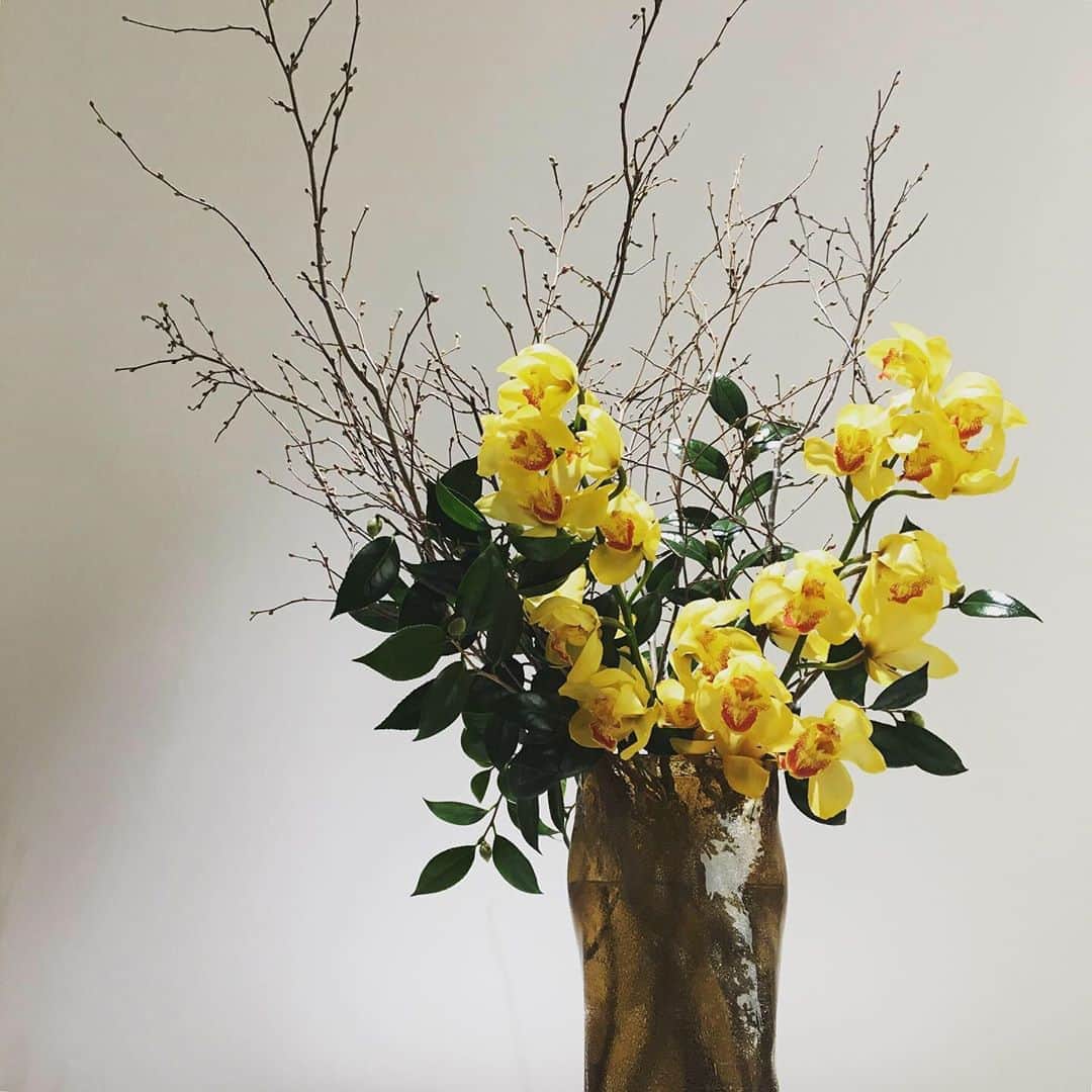 ルミネ公式さんのインスタグラム写真 - (ルミネ公式Instagram)「1月8日からのルミネのテーマは、『Poetic Spring　華麗なる花』 ヨーロッパの古典的な要素をインスピレーション源に、古い良き時代の文化や思考に注目。 アートやカルチャーを通して、知性や感性を磨く時間を大切に。 日常に小さな美や詩情を取り入れ、華やかで美しい春の気配を満喫しましょう。 . 今週のフラワーアレンジメントは、シャンパンゴールドの花器に華やかなイエローのシンビジウムを合わせて、 早春の華やかさをイメージしてみました。 . #花#お花#花がある暮らし#花のある生活#花が好きな人と繋がりたい #シンビジウム#姫水木#ルミネの花 @fuga_tokyo」1月17日 12時01分 - lumine_official