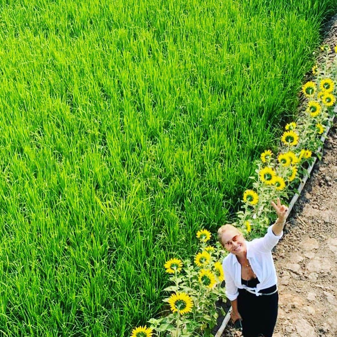 アンジェリカさんのインスタグラム写真 - (アンジェリカInstagram)「#thailand」1月17日 12時20分 - angelicaksy