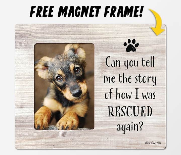 Animalsのインスタグラム：「NEW ARRIVAL! We have about 500 of these adorable magnet picture frames! Perfect to put a pic of your rescue baby in! Free, just pay S&H which also covers a shelter meal donation. Link in 👉 @iheartdogscom bio. WHILE SUPPLIES LAST!」