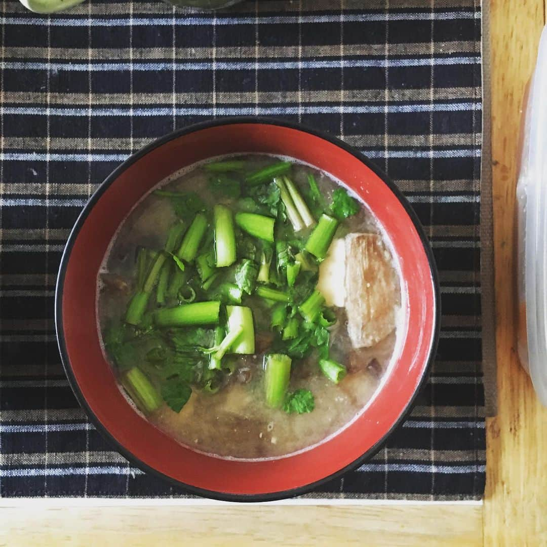 松浦志穂さんのインスタグラム写真 - (松浦志穂Instagram)「いとちゃんが実家に訪れた日🍵こんなに自然光の優しい光🌅あるかってくらい優しい後光が包んでくれた📷しまじろうを診察したり🩺母親といとちゃんの平和なハイタッチを見たり麦切りの半べぇに行ったり善法寺行ったりもうなかなか会えなくなるのでいとちゃんとの地元の時間をたっぷり楽しみました😢 ・ この時期の庄内は納豆汁、岩海苔とせりたっぷりのお雑煮など美味しい汁物がいっぱいなんだよなぁ、、今は寒鱈汁だなぁ、、食べたいなぁ、、🤤🤤寒い地域は汁物が美味しいよなぁ、、🍜 ・ #山形県鶴岡市  #庄内地方 #納豆汁 #お雑煮 #寒鱈汁  #寝覚屋半兵エ  #麦切り」1月17日 12時43分 - matushiho