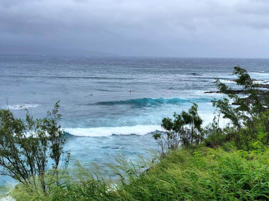 熊澤枝里子さんのインスタグラム写真 - (熊澤枝里子Instagram)「🌊🏄‍♂️🌞 #surf #maui #hawaii  #honoluabay  #bigwave ・ ・ 遠目からでもわかる水の綺麗さ✨ 崖の下のポイント。 もちろんなこんなbig wave には入れません😂 生まれたてのヒヨコレベルだもんで🐣👶🍼 ・ #旅クマ子」1月17日 12時48分 - kumazawa_eriko