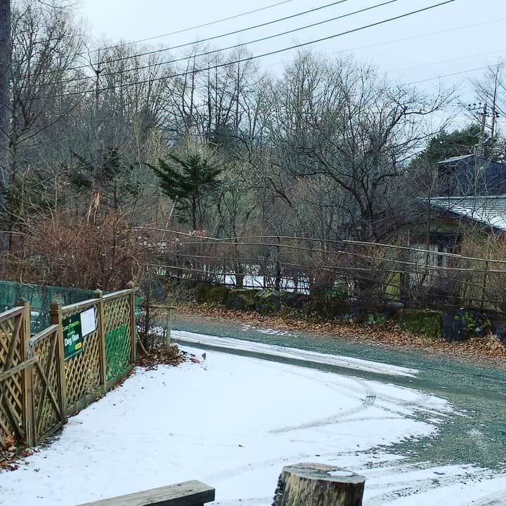 金村義明のグルメインスタ