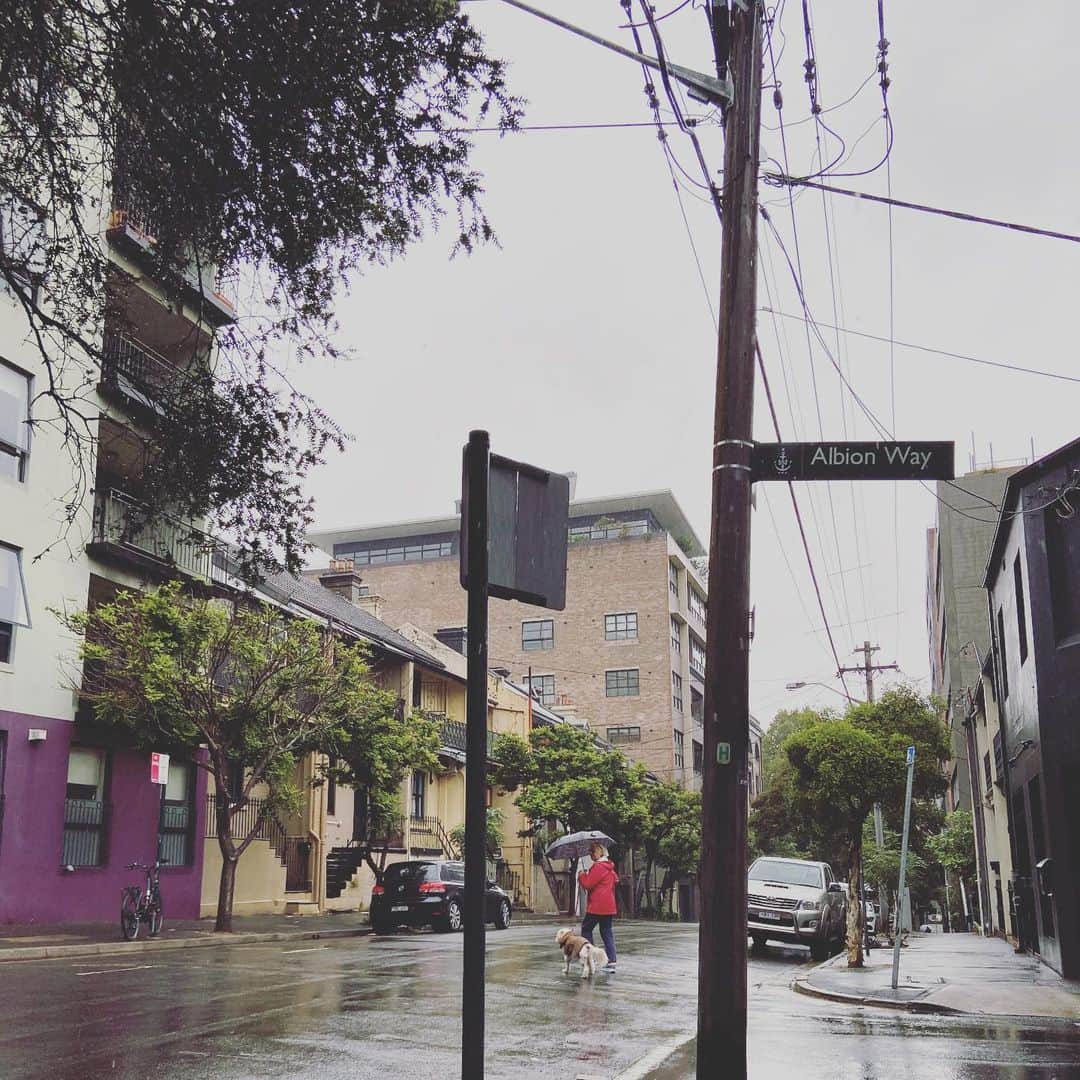 荒尾茉紀さんのインスタグラム写真 - (荒尾茉紀Instagram)「よかった😌今日も朝から雨☔️降り続いてくれーーー‼️ #sydney #bushfiresaustralia #山火事 #この雨で少しでもおさまりますように」1月17日 10時26分 - maki.arao