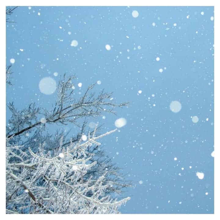 furryrate officialのインスタグラム：「pretty cold…!! . 明日は都内も雪予報…🌨🏙 . . 週末はお家でゆっくり過ごそうかな😌📖 . #furryrate #furry #ファーリーレート #ファーリー #cold #snow #winter #sky #fasion #blue #tree」