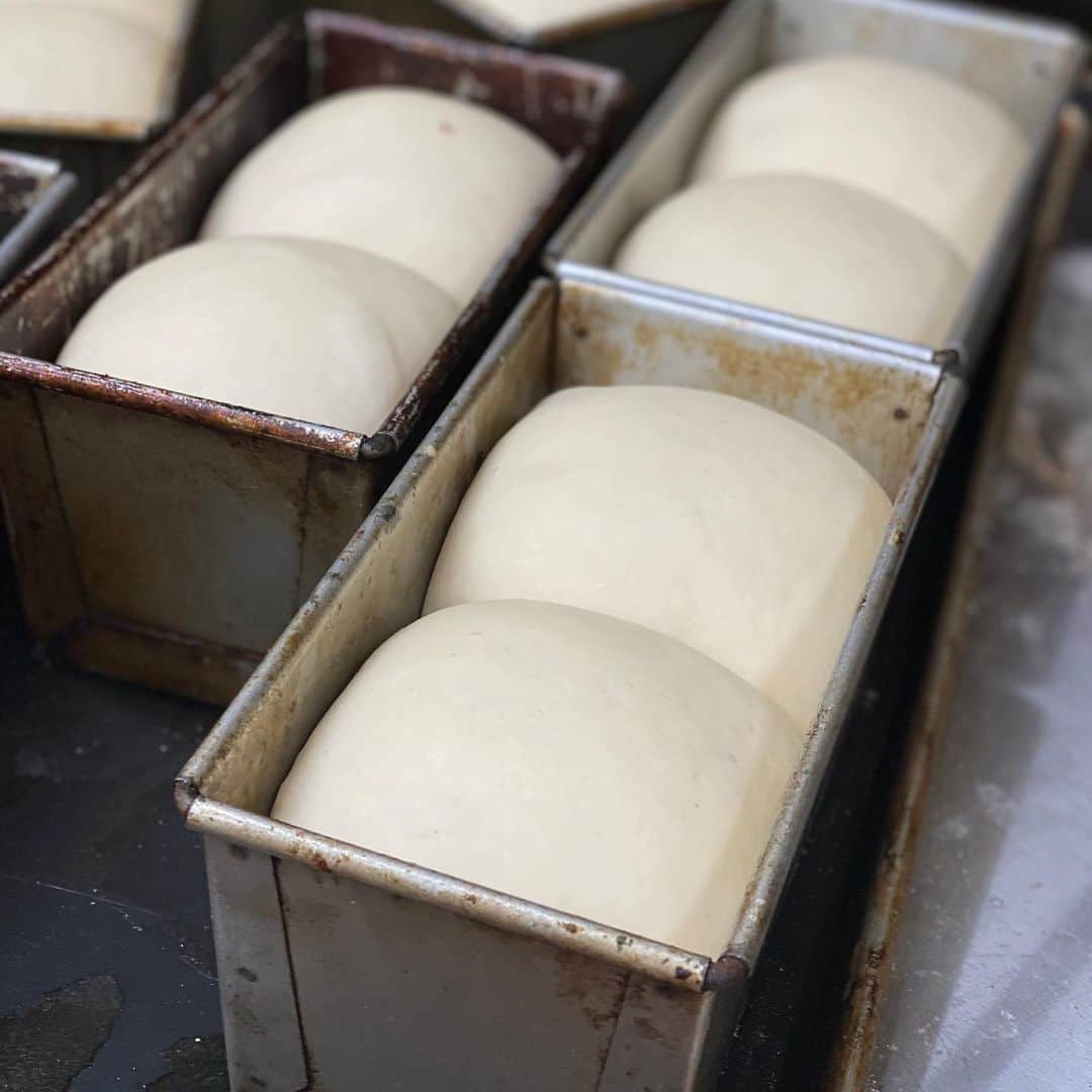 魔女菅原のグルメインスタ