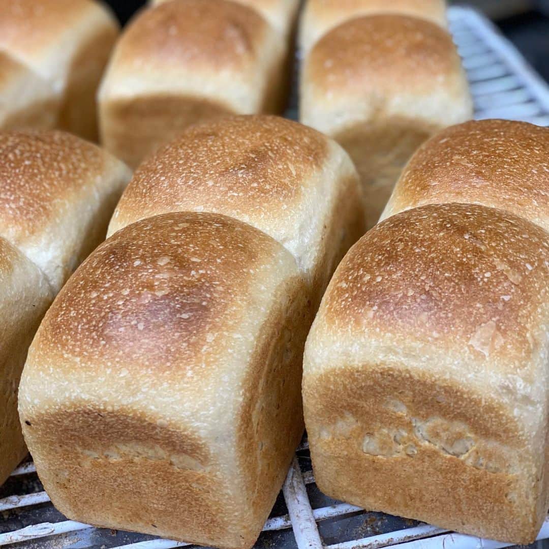 魔女菅原のグルメインスタ