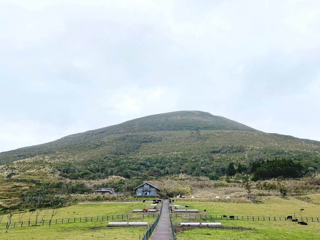 神宮 若奈さんのインスタグラム写真 - (神宮 若奈Instagram)「ふれあい牧場🐮💗 . . 八丈島ついたらすぐ行くのが ふれあい牧場✨ . 八丈富士も近くて綺麗に見られて 空港も島も上から一望できる 素敵な場所なの🥰 . . わかなちゃんっていう牛もいて(6枚目) 屁っ放り腰になりながら 餌をあげたよ😂😂😂 . いつもいつも空気が澄んでいて 清々しい気持ちになる💗 . . 初日のランチは 八丈島観光大使(自称w)の 親友ちゃんにおすすめしてもらって 私もハマっている 💗音屋のマーボー麺💗 (1番最後の写真) . 他のメニューも美味しいけど マーボー麺はどこよりも 絶品だからぜひ食べて見てね💗 . #ふれあい牧場 #八丈島  #八丈島観光大使 #hachijojima  #親友ちゃん観光大使に認定してほしい #音屋 #マーボー麺 #日本一 #美味しい #八丈島観光  #八丈島グルメ  #八丈島旅行  #八丈富士 #八丈島空港 #wakanastyle #wakanabody #iPhone11pro #画質良すぎ」1月17日 10時59分 - jinguwakana