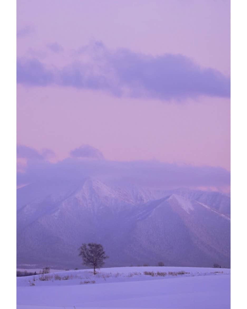 Hikaruのインスタグラム：「The sky in Biei is dyed light. . . 淡く染まる美瑛の空。 空の色が雲に染まる瞬間。 . . #美瑛町 #美瑛の丘 #nationalparksjp #instagram #instagramjapan #igersjp #東京カメラ部 #tokyocameraclub #natgeo #pashadelic #naturephotography #naturegeography #photogrena_nature #photo_shorttrip #japan #hokkaido #写真好きな人と繋がりたい #北海道 #Japan_ilc #sony #bealpha #SonyAlpha #SonyImager #jalan_travel」