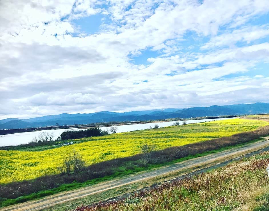 逢月あかりのグルメインスタ