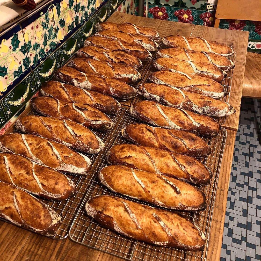 CHIPPRUSONのインスタグラム：「一年近く休んでいたバゲット🥖粉と工程を大幅に変えてリトライ。スペルト小麦全粒粉15%を豆乳とはちみつを加えて3種類の天然酵母で発酵させた前種を使用し、北海道小麦を24h冷蔵オートリーズ後、スペルト強力粉を加えて3分間程高速で捏ねたものをフロアタイム無しの5℃で48h熟成させた後（折りたたみ無し）成形してすぐに焼成。中々いい感じに焼き上がりました♩美味しかった💫」