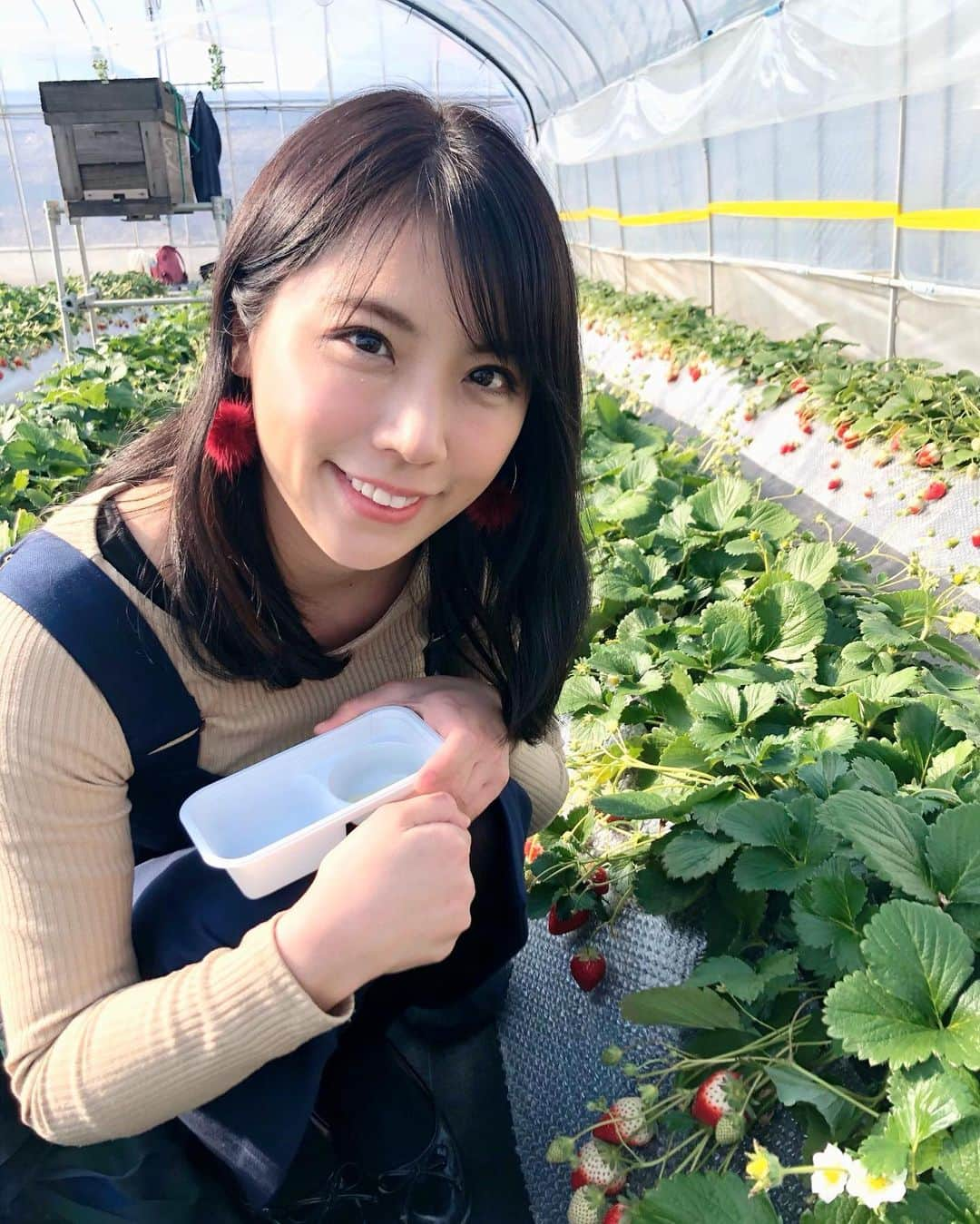 吉田早織さんのインスタグラム写真 - (吉田早織Instagram)「初めていちご狩りしました🍓🍓﻿ いちごだけでめっちゃ甘いから練乳使わなかった💓  体調悪すぎてインスタ更新まで気持ちが高ぶらず﻿ 全然更新してなかった😂😂💦﻿ ﻿ #いちご狩り#イチゴ#とちおとめ#日光#日光ストロベリーパーク」1月31日 22時48分 - saoriyoshida034