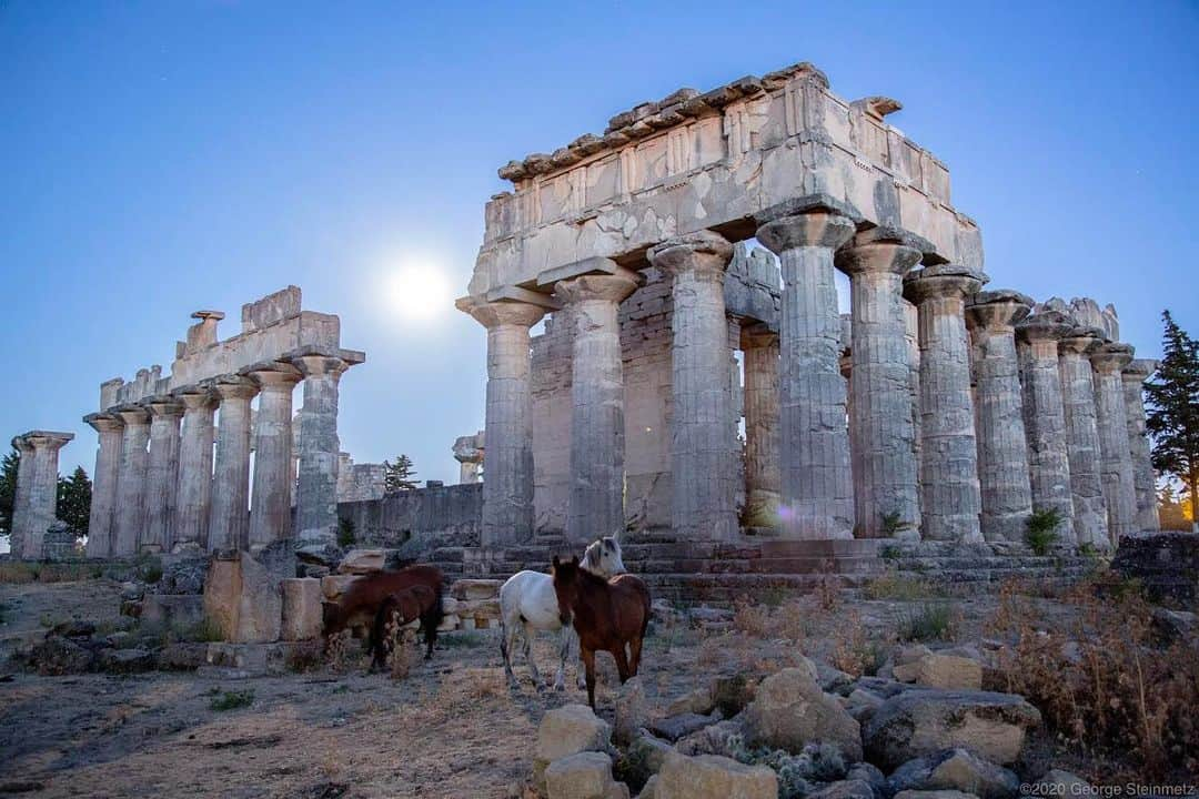 thephotosocietyさんのインスタグラム写真 - (thephotosocietyInstagram)「Photo by George Steinmetz @geosteinmetz | Horses graze under a full moon at the temple of #Zeus, in Cyrene, Libya. Libya is not an easy place to travel, but the rewards can be sublime. #greek #archaeology #ancientgreece #equestrian  To explore more of our world, follow @geosteinmetz.」1月31日 23時01分 - thephotosociety