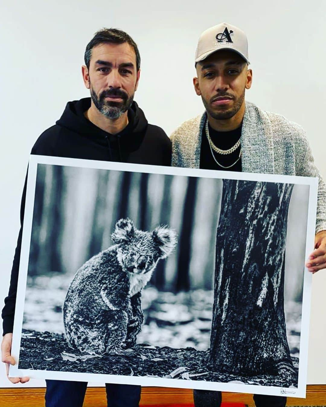 ロベール・ピレスさんのインスタグラム写真 - (ロベール・ピレスInstagram)「Join me and the Arsenal team in becoming a Koala Hero by supporting the #KoalaComeback Campaign! This powerful image, called ‘Survivor’ comes from photographer @DavidYarrow, who has launched the campaign with @wild.ark to raise $2 million to support recovery efforts in Australia. Either make a small donation (see link in bio for @DavidYarrow) to receive and share a digital print and help make this campaign go viral or donate from $1,000 to purchase a Yarrow fine art print.  Fifty percent of the proceeds raised through this campaign will be directed to @EarthAlliance ’s Australia Wildfire Fund, and WildArk will use the remaining donations to support local organizations working on wildlife rehabilitation and habitat restoration.」1月31日 23時20分 - robert_pires07