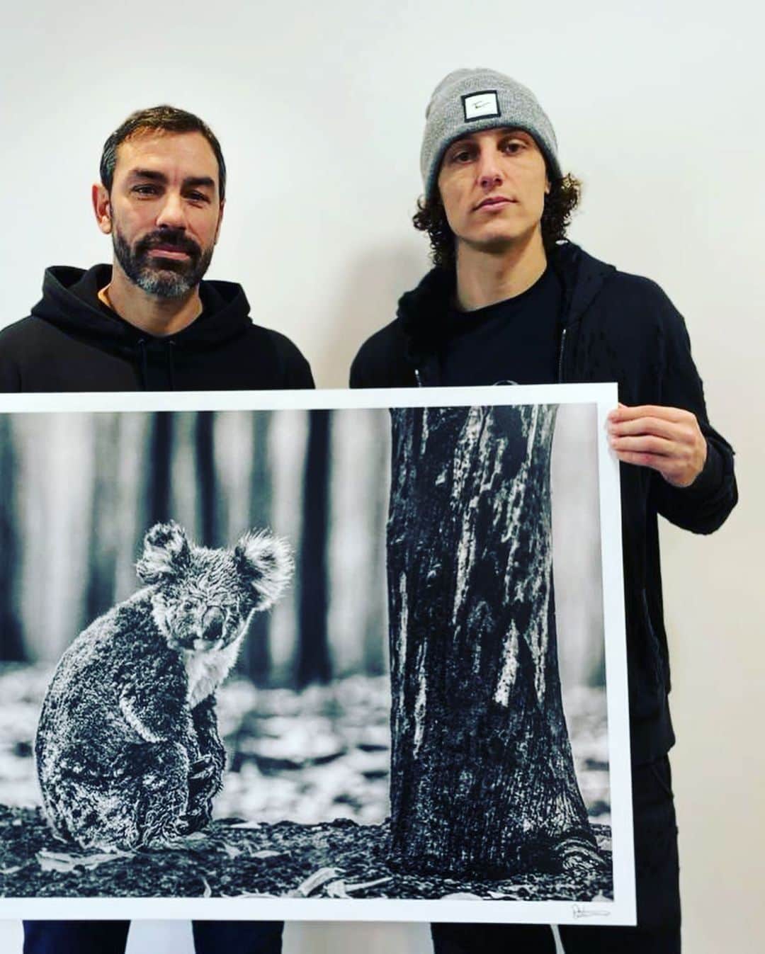ロベール・ピレスのインスタグラム：「Join me and the Arsenal team in becoming a Koala Hero by supporting the #KoalaComeback Campaign! This powerful image, called ‘Survivor’ comes from photographer @DavidYarrow, who has launched the campaign with @wild.ark to raise $2 million to support recovery efforts in Australia. Either make a small donation (see link in bio for @DavidYarrow) to receive and share a digital print and help make this campaign go viral or donate from $1,000 to purchase a Yarrow fine art print.  Fifty percent of the proceeds raised through this campaign will be directed to @EarthAlliance ’s Australia Wildfire Fund, and WildArk will use the remaining donations to support local organizations working on wildlife rehabilitation and habitat restoration.」
