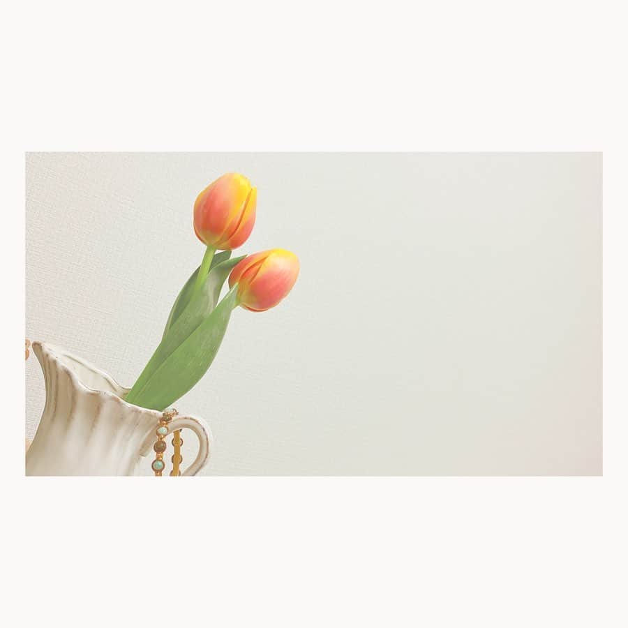 小原好美さんのインスタグラム写真 - (小原好美Instagram)「春に近づくと可愛い色のお花がたくさんっ。 可愛いと思ってこの子達をお部屋で飾っております。  マリットという可愛い桃のようなチューリップ 赤いのはヒペリカム  チューリップの花言葉は「思いやり」 ヒペリカムの花言葉は…是非調べてみてっ。  知らないで買ったからビックリしたんだけど とっても嬉しかった。  大切に飾ろうとおもいます(●´人｀●) #コメントありがとうございます #お花のある生活 #癒されるルン #キラやばな花言葉」1月31日 23時33分 - konomi_kohara0628