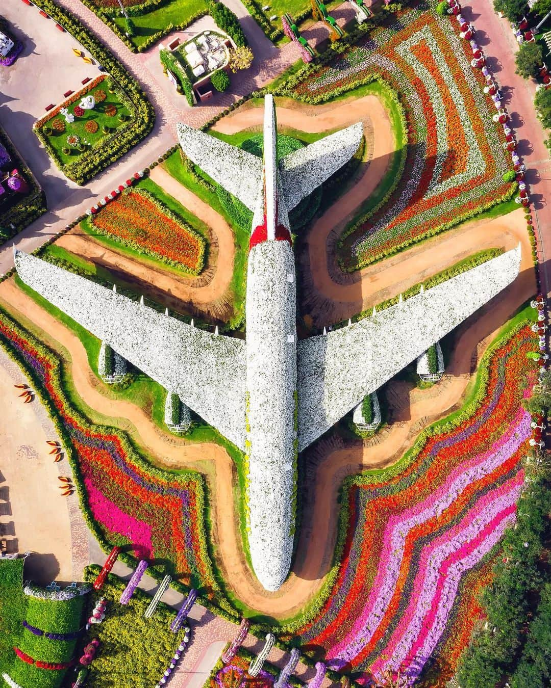 エミレーツ航空さんのインスタグラム写真 - (エミレーツ航空Instagram)「“Roses are red, violets are blue, flowery wonders such as these, are very few.” The Emirates @Airbus A380 in full bloom at Dubai Miracle Garden. Image credit: @dkphotographyau  #FlyEmiratesFlyBetter #EmiratesAirline #MyDubai」2月1日 0時02分 - emirates