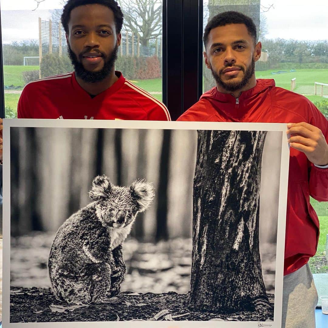 ナサニエル・チャロバーのインスタグラム：「This emotional photograph deeply portrays the tragic devastation that recently affected Australia.  I’m supporting @davidyarrow #KoalaCombackCampaign to support the recovery efforts in Australia. Please join me in supporting the campaign.  To donate, please see the link in @davidyarrow bio.」