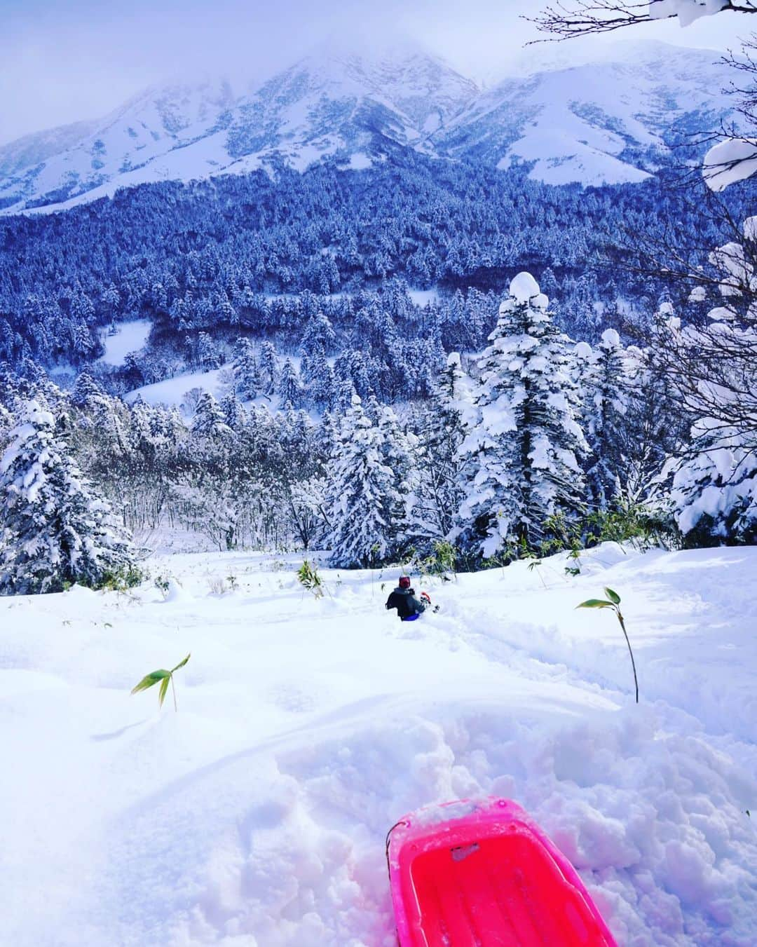 小林希さんのインスタグラム写真 - (小林希Instagram)「ふわふわのパウダースノーを そりで滑って雪だるまになりました⛄️ 利尻島のポン山にて、 利尻富士を眺めながら、とっても楽しいスノーシューができますよ😊 ﻿ ﻿  #島旅#島#船旅#旅#国内旅行#日本の島#稚内#冬の島旅 #北海道﻿ #利尻島 #礼文島#ハートランドフェリー #スノーシュー」1月17日 20時45分 - nozokoneko