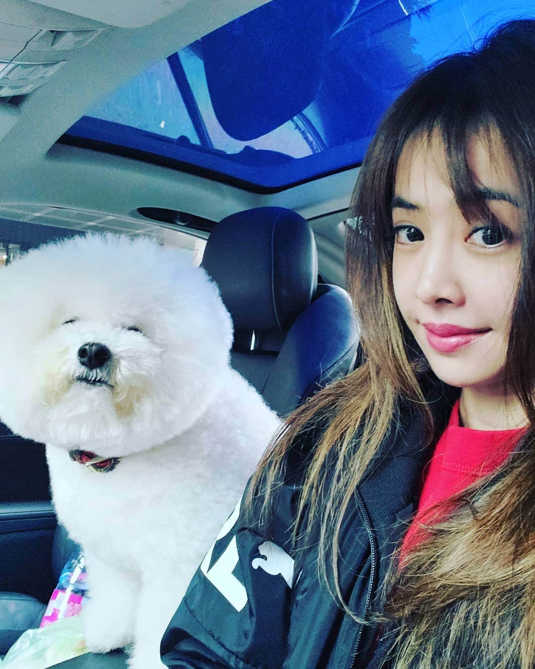 ジョリン・ツァイのインスタグラム：「with my bae #drivingday @bichon_whoohoo」
