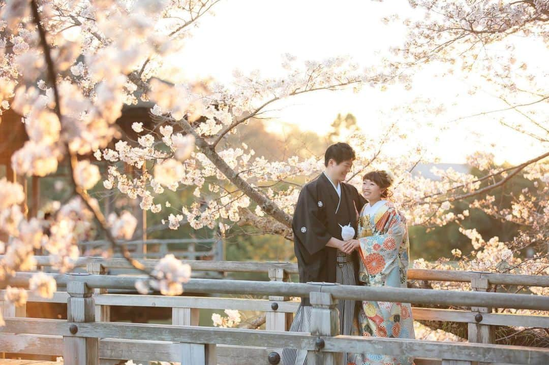 Decollte Wedding Photographyのインスタグラム：「【 Nara 奈良 】Cherry Blossom season is still available!😘😘﻿ ﻿ Photographer @y.misawa_wedding ﻿ @studiotvb_nara  @decollte_weddingphoto﻿ @decollte_weddingstyle﻿ ﻿ ﻿ #japan #nara #cherryblossom #Decolltephotography #weddinginspiration #Weddingphotography #prewedding #weddingphoto #overseasprewedding #japaneseprewedding #japanwedding #landscapephotography #romantic #love #happiness #日本 #奈良 #桜 #海外婚紗 #婚紗 #唯美 #신부 #웨딩 #웨딩사진」