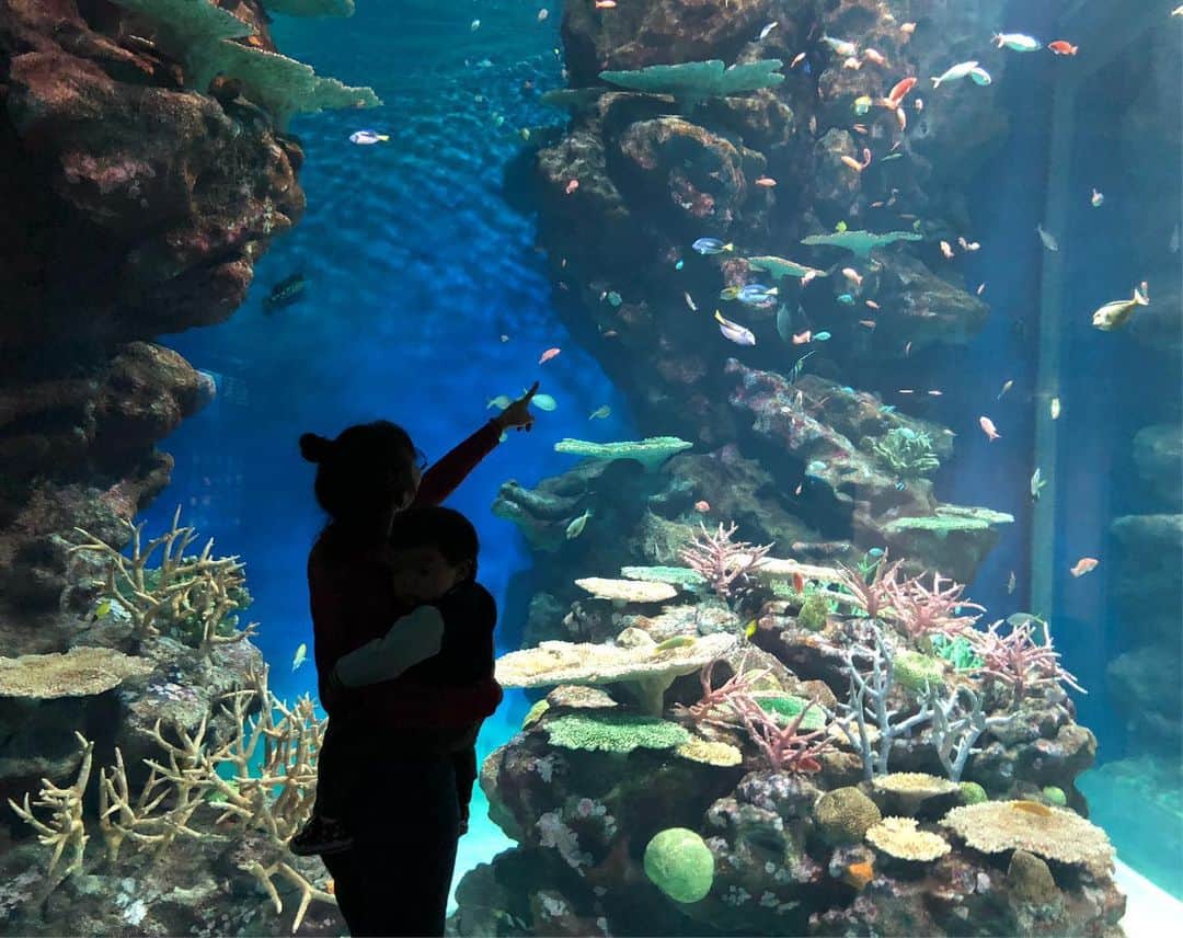 エマ中岡優姫のグルメインスタ