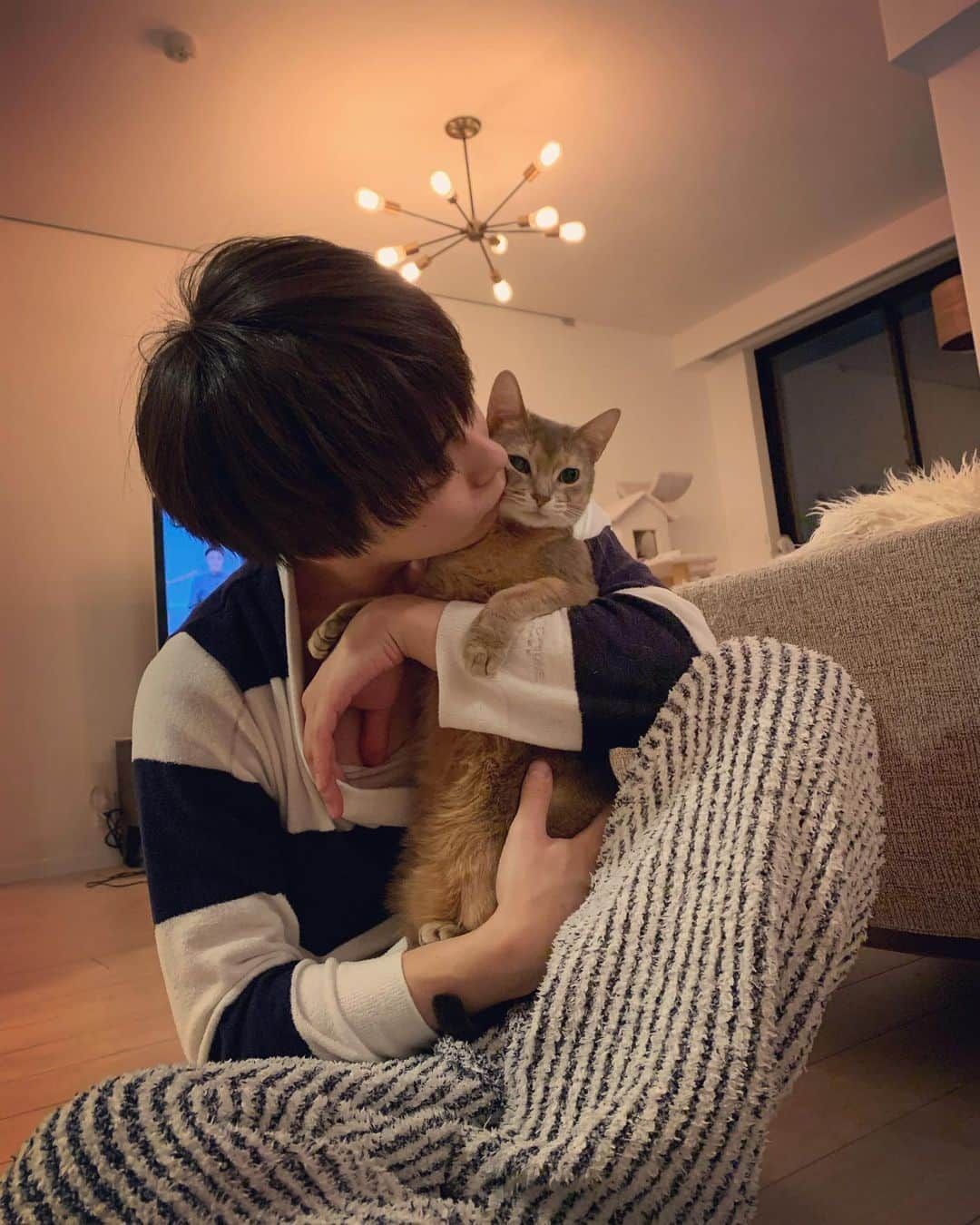 桃さんのインスタグラム写真 - (桃Instagram)「はぁーーー、たまらなく可愛い… ラピのお顔よ😫🧡🧡🧡 #なんとも言えない表情　#ラピ　#アビシニアン　#abyssinian #6歳年下彼氏　#ジェラピケ男子　#tinder婚」1月17日 13時47分 - momo.official